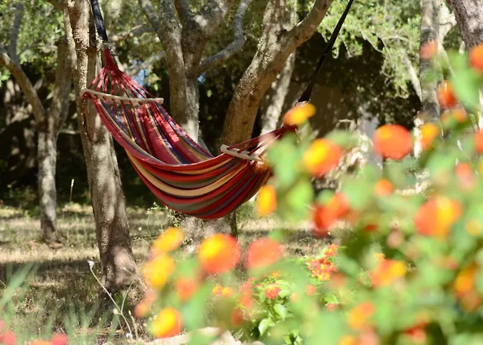 Finca Katia